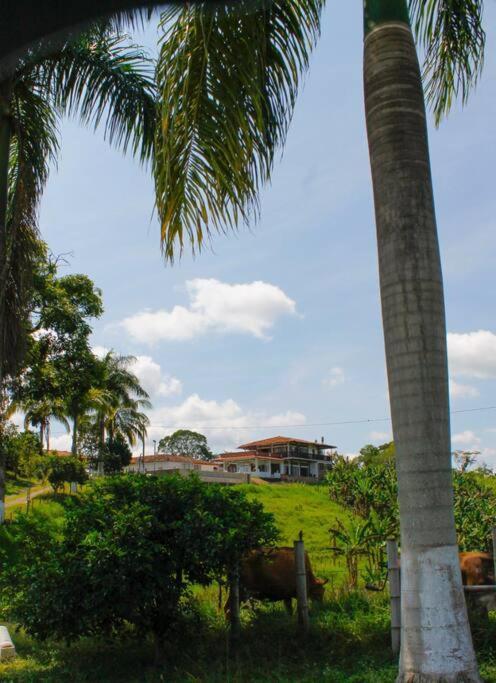 Finca Villa La Paloma El Laurel Exterior photo